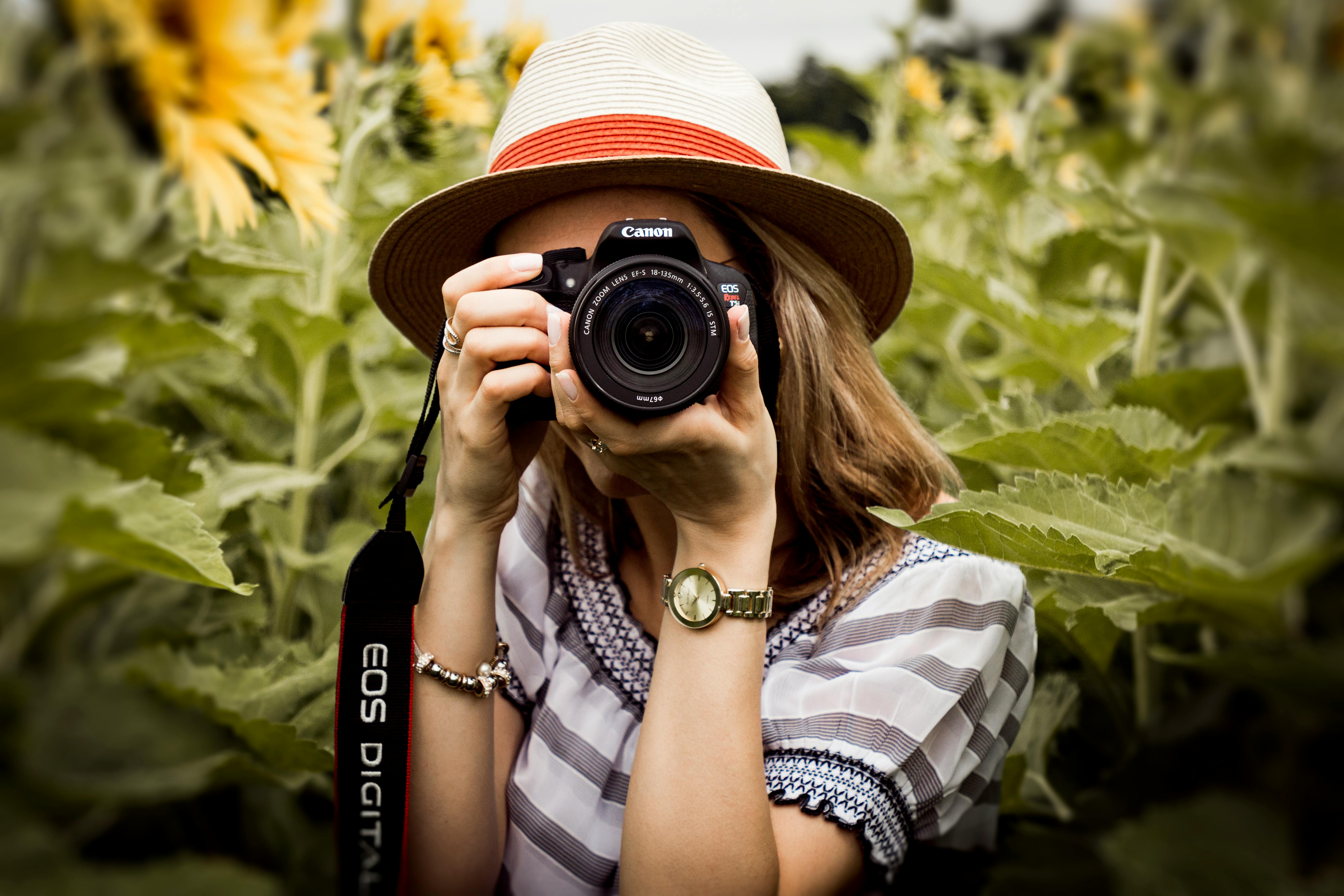 Photographer in a field of sunflowers
